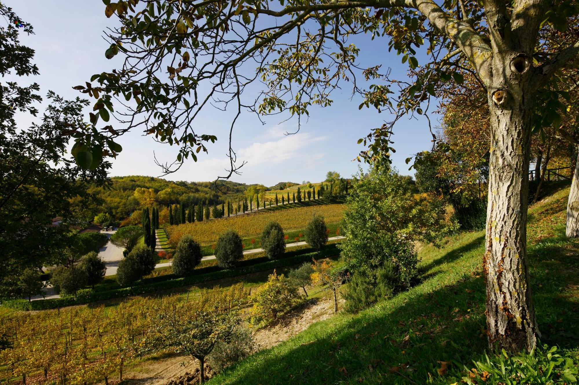 Relais Russiz Superiore Capriva del Friuli Eksteriør billede